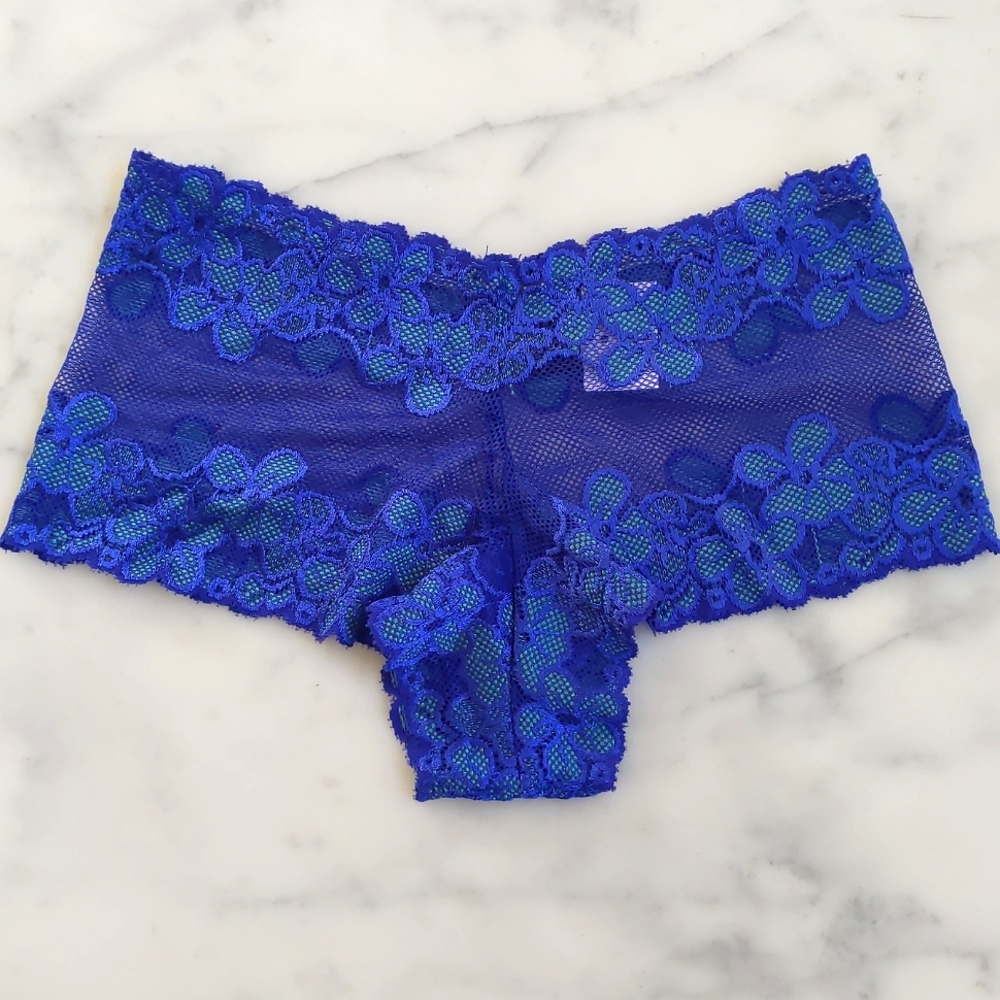 NWT. Frederick's Of Hollywood All Lace Panty with Blue/Green Embroidered Flowers